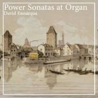 Sonata No. 36 in C Minor, Op. 36: Allegro non tanto_David Ennarqua,Antonio Soler
