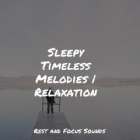 Feel Good_Sleep Sounds of Nature,Sleepy Times,Relaxed Minds
