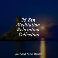 Transcending_Sleepy Times,Yoga Sounds,Tranquility Spa Universe