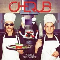 Disco Sh*t_Cherub