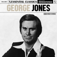 Accidentally on Purposey_George Jones