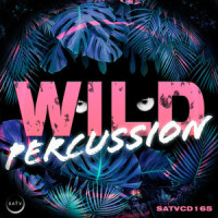 Dark Percussion Stomp_SATV Music