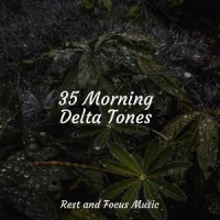 An Innocent Dawn_Pro Sound Effects Library,Pink Noise,Sleep Music