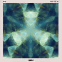 Fragile to the Max_Aurelie