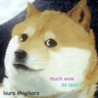 much wow, so space_Laura Shigihara