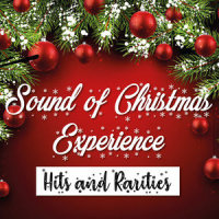 Christmas Time(Is Here Again)_The Beatles