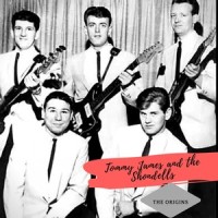 Mirage_Tommy James,Shondells
