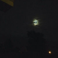 lost file_Luminate