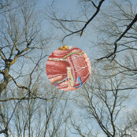 Aaa_They Might Be Giants