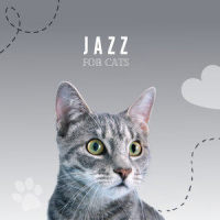 Cats_Piano Peace,Pet Music Therapy,Pets Love Music