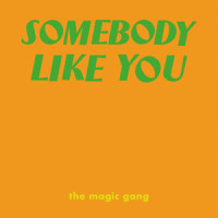 Somebody Like You_The Magic Gang