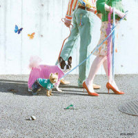 THE FIRST DAY WITHOUT YOU_DREAMS COME TRUE