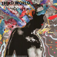 1865(96 Degrees In The Shade)_Third World