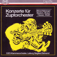 Konzert in E-Dur für Flöte, Gitarre und Zupforchester: IV. Finale_DZO-Kammerorchester,Siegfried Behrend
