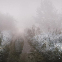 Fallen On Dreams_Tim Schaufert