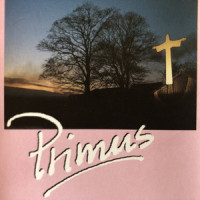 Don't Turn Away_Primus,Raye Walter