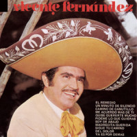 El Remedio_Vicente Fernández