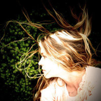 Root_Charlotte Martin