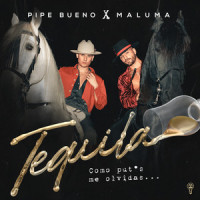 Tequila_Pipe Bueno,Maluma,Andres Felipe Giraldo Bueno,David Eduardo Rosero Coral,Juan Luis Londoño Arias,Julian Andres Cabrera Muñoz,Luisa Fernanda Cataño Ríos,Miguel Angel Giraldo Bueno,Pablo Arturo Ocampo Henao,Santiago Delgado Melguizo