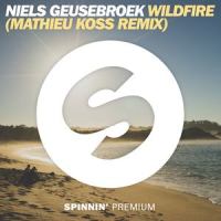 Wildfire_Niels Geusebroek