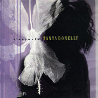 The Storm_Tanya Donelly