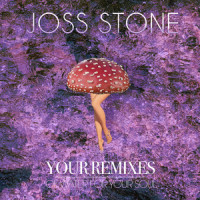The Answer_Joss Stone,Lephin,Jonathan Shorten,Dennis Bovell,Marlon Asher
