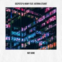Not Gone(feat. Katrina Stuart)_Deepstep,Numy,Katrina Stuart