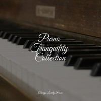 Amazing Splendor_Relaxing Piano Club,Study Music and Piano Music,Piano Pianissimo