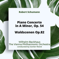 VII. Vogel Als Prophet_Wilhelm Backhaus,Robert Schumann