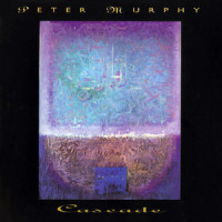 I'll Fall with Your Knife_Peter Murphy