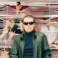 The Chihuahua_Alex Cameron