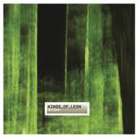 Sex on Fire_Kings of Leon