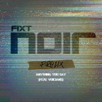 Anything You Say_Prolix,Voicians