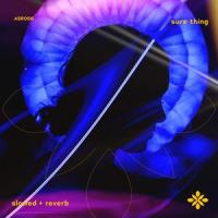 sure thing - slowed + reverb_Slo,Twilight,Tazzy
