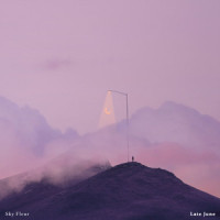 Sky Fleur_Late June,Liam Bevin