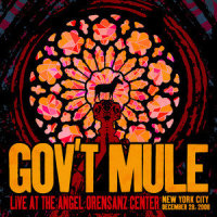 All Apologies_Gov't Mule,Kurt Cobain