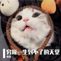 穷极一生到不了的天堂_Th-9