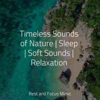 Earth_Pink Noise,Shakuhachi Sakano,Sound Sleeping