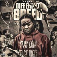 SUMMER VIBES(feat. Jim Jones)_Cash B,Jim Jones