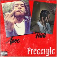 Freestyle (feat. Apoc & Flint)_FLINTassTEE,Apoc,Flint