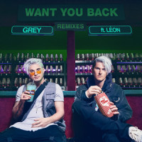 Want You Back_Grey,LÉON