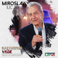 Bozanstvena zeno_Miroslav Ilic