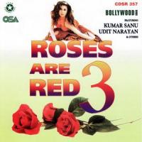 Mera Dil Dil Dil_Udit Narayan,Kumar Sanu,Anupama Deshpande