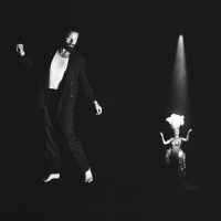 Only a Fool_Father John Misty