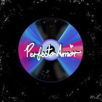 Perfecto Amor_Mel Sánchez