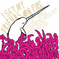 Beauty Is In The Eyes Of The Beerholder_I Set My Friends On Fire