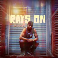 Rays On_Moose