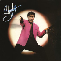 You Drive Me Crazy_Shakin' Stevens