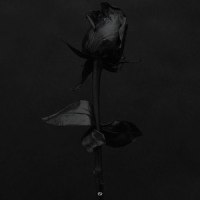 No More_Da-P,Mars Today