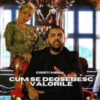 Cum se deosebesc valorile_Cristi Mega